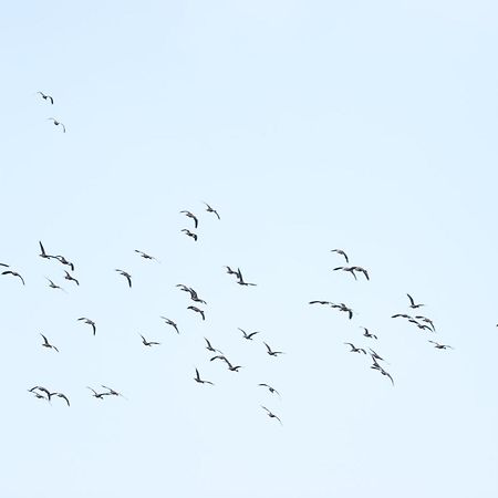 Three Little Birds 호텔 탕갈레 외부 사진